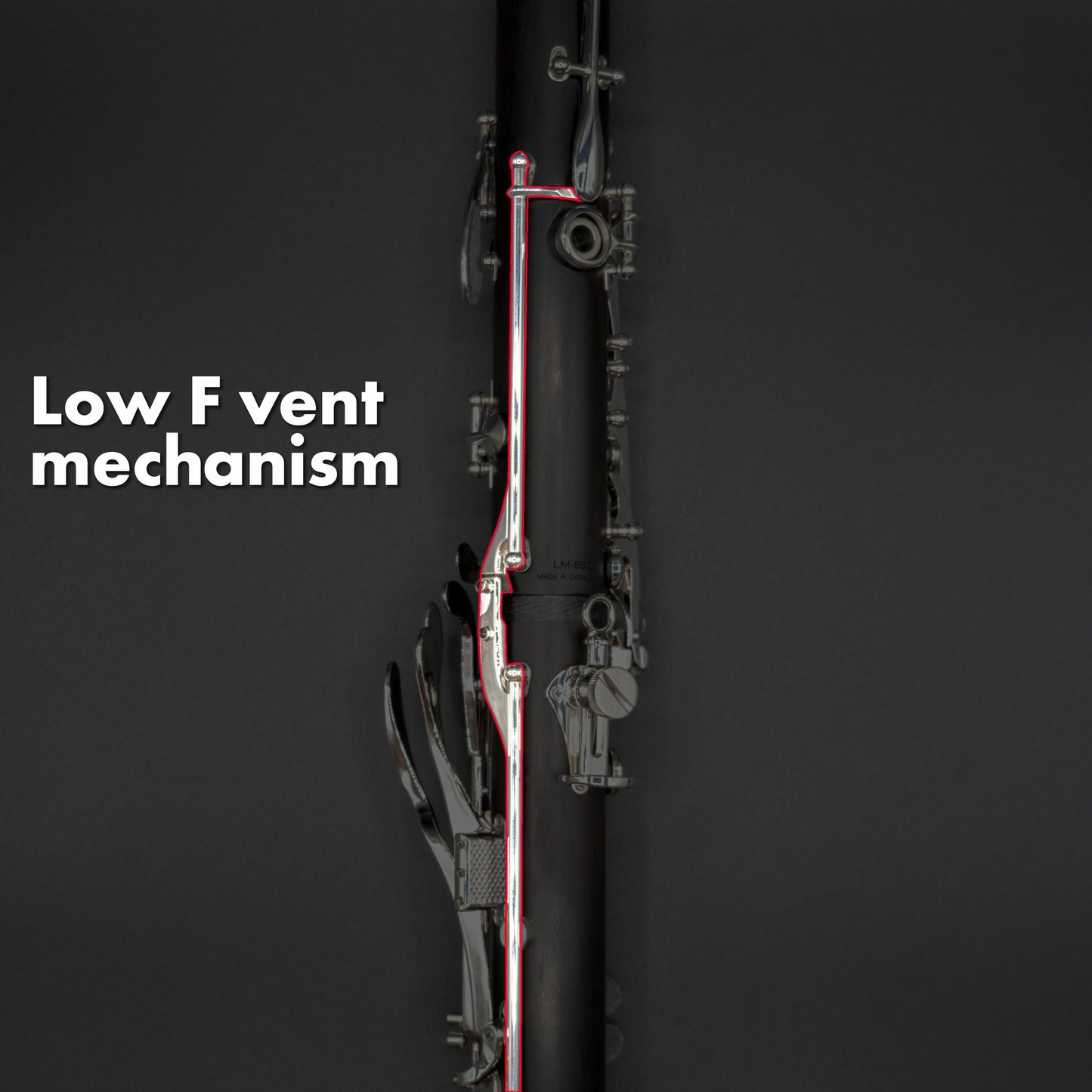 Backun Lumière Bb/A Clarinet - Cocobolo