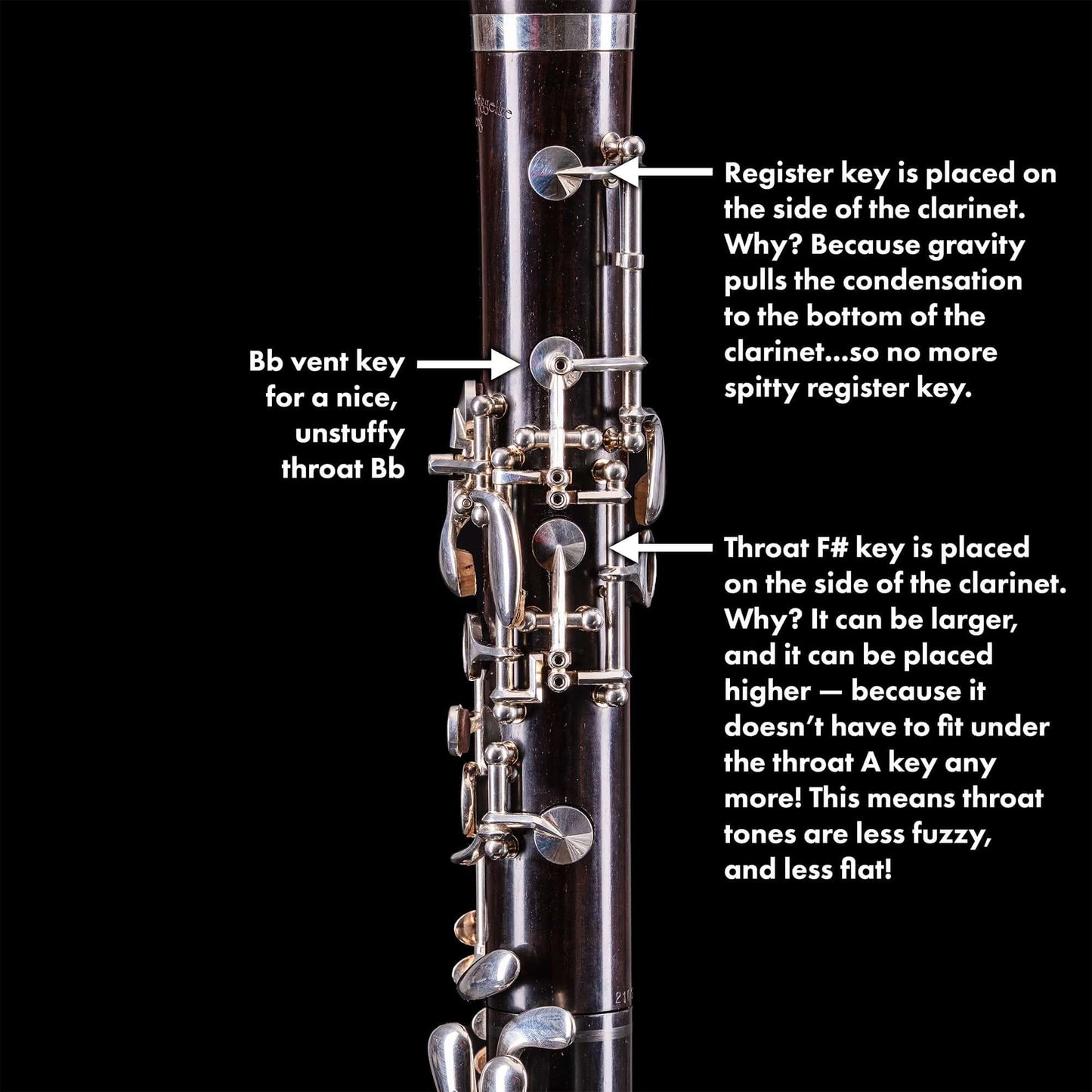 Seggelke Series 1000+ Bb/A Clarinet - Grenadilla