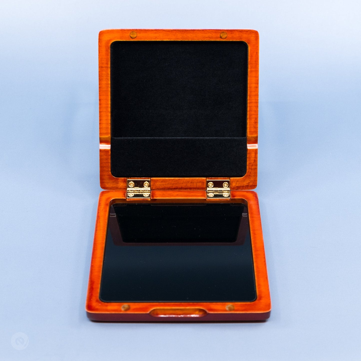 Earspasm Premium Bass Clarinet Reed Case