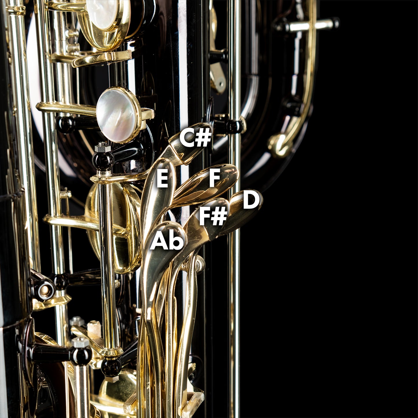 Eppelsheim Bb Contrabass Clarinet