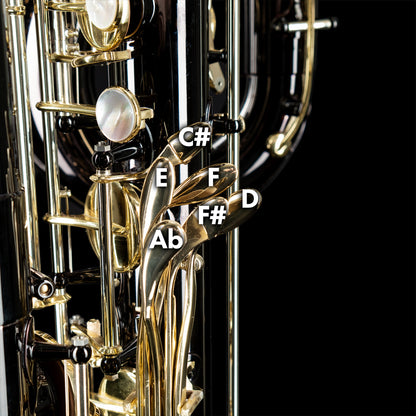 Eppelsheim Bb Contrabass Clarinet