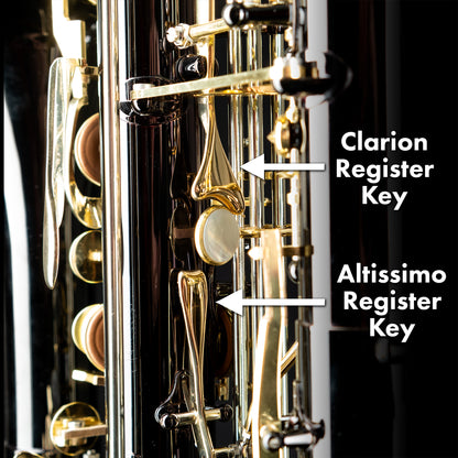 Eppelsheim Bb Contrabass Clarinet