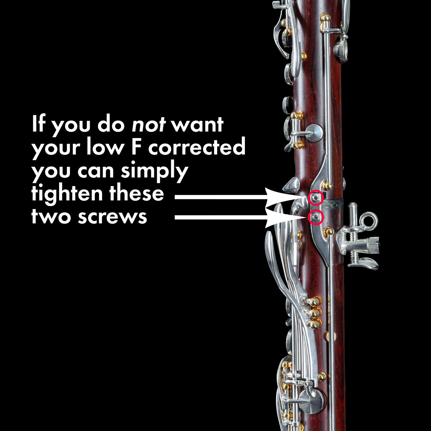 Backun Essence Bb/A Clarinet - Cocobolo