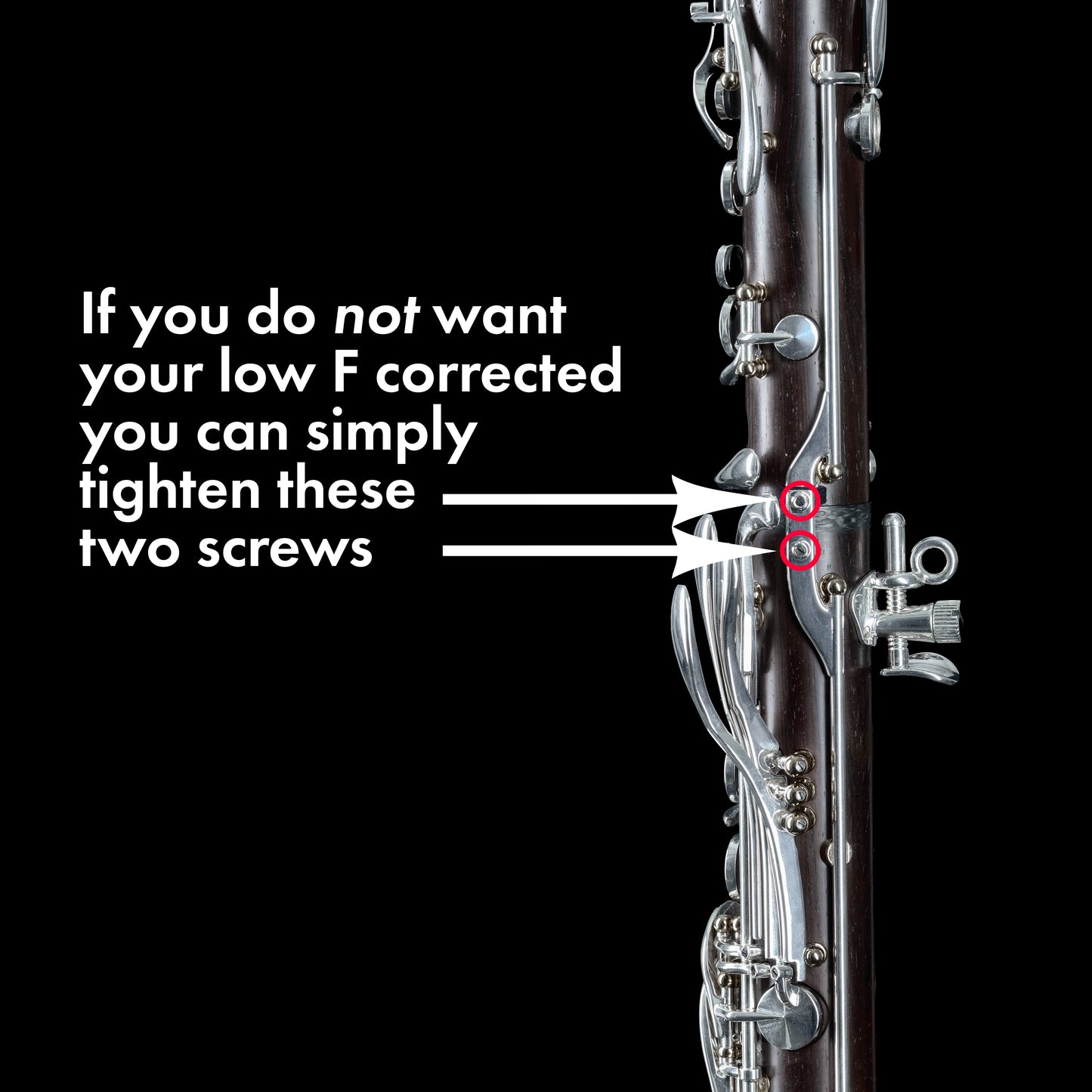 Backun Essence Bb/A Clarinet - Grenadilla